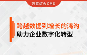 跨越數據到增長的鴻溝，助力企業數字化轉型